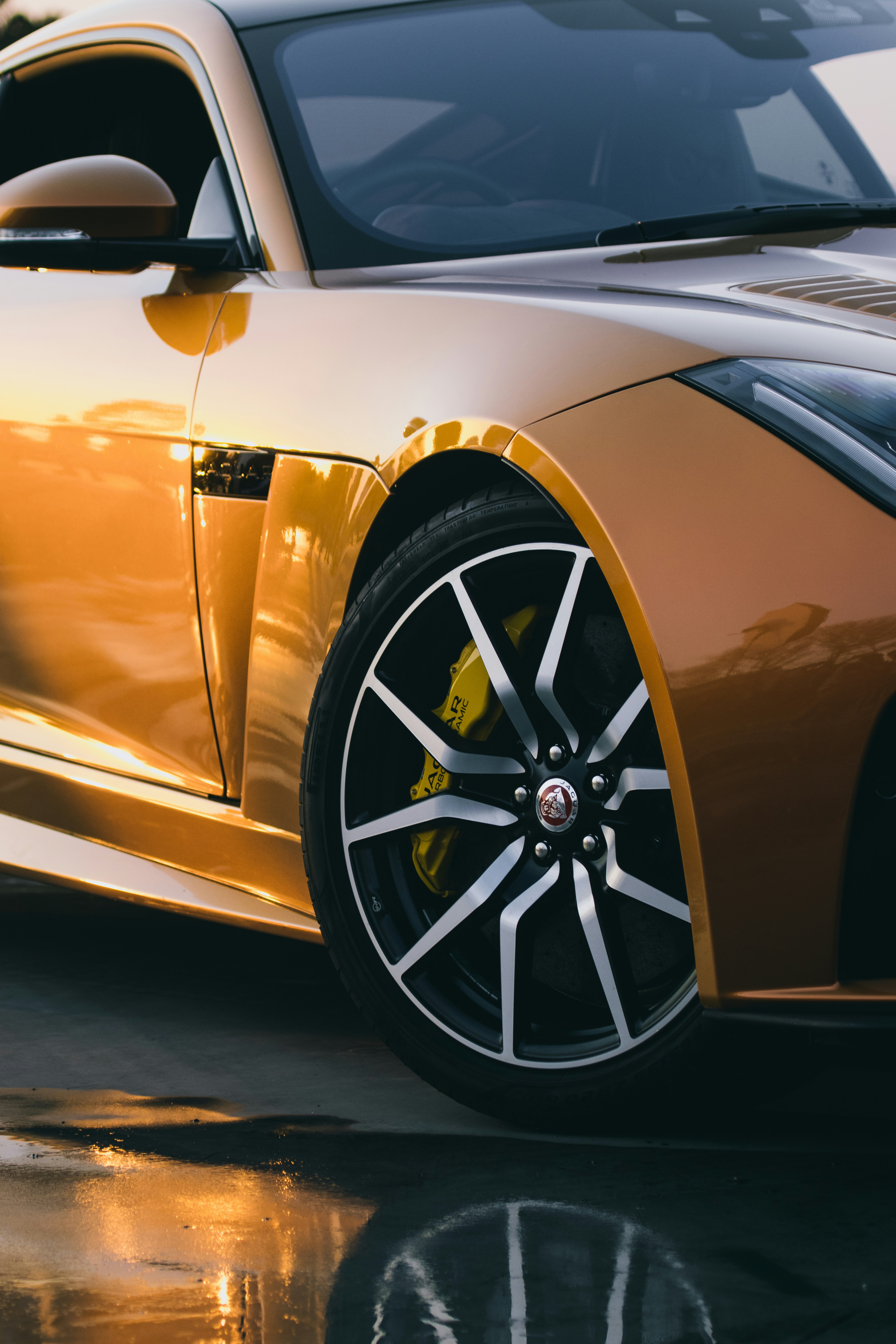 Photo by muaawiyahdadabhay