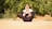 A person is practicing yoga outdoors, seated on a mat with legs crossed, arms wrapped around the knees, and hands resting on the cheeks. The background features green foliage, creating a serene and natural atmosphere.