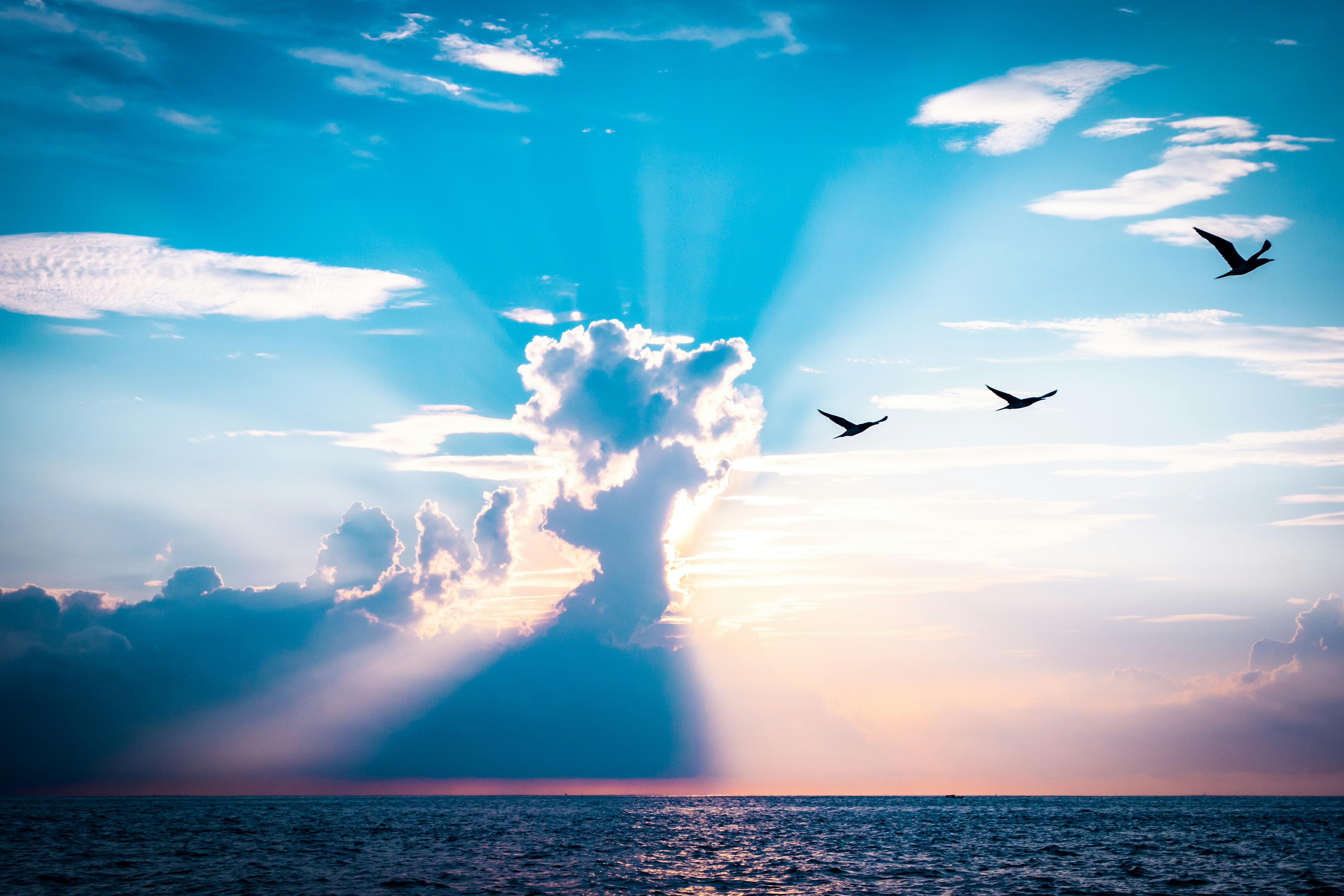 Today's Inspirational Message is...