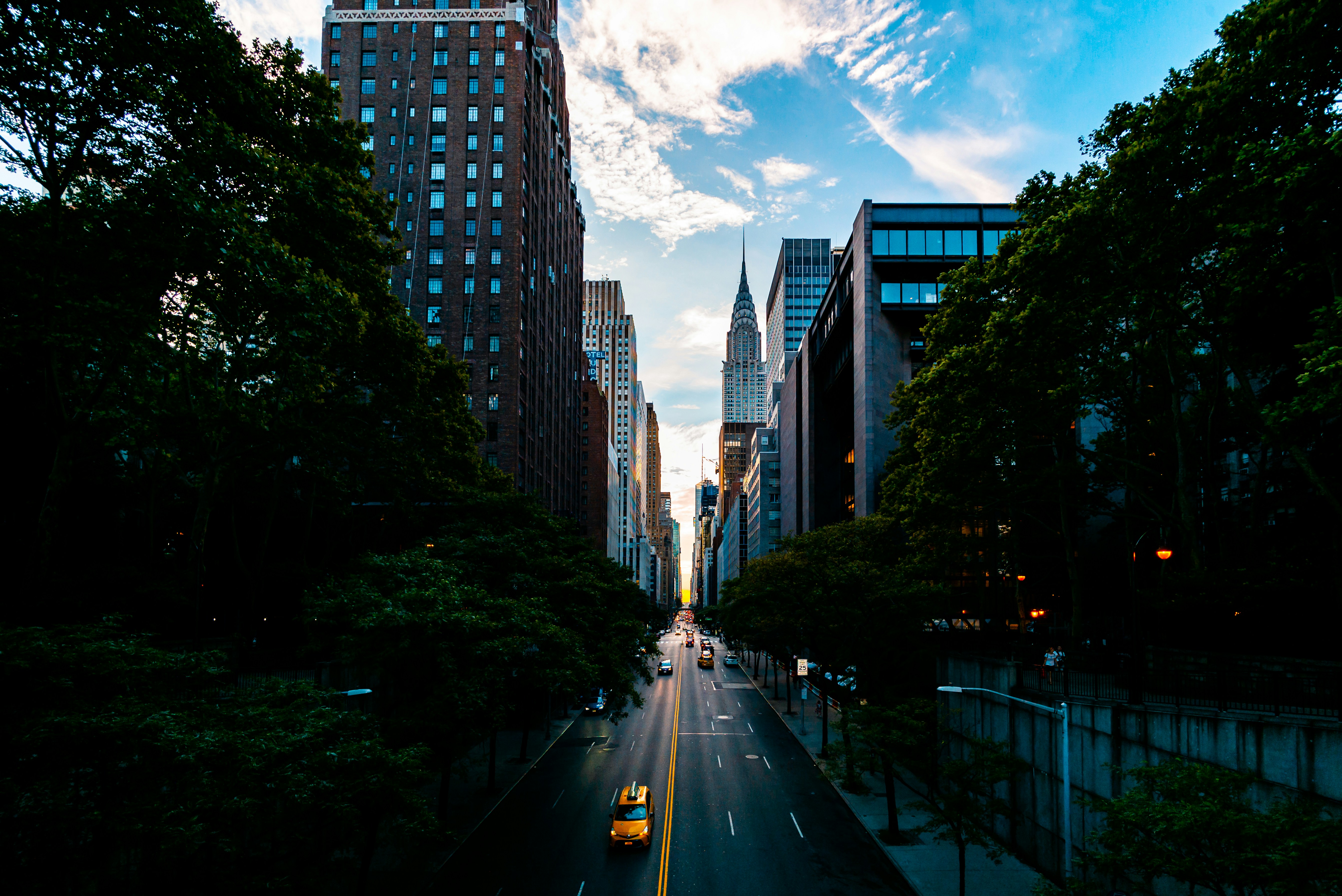 Photo by david_watkis