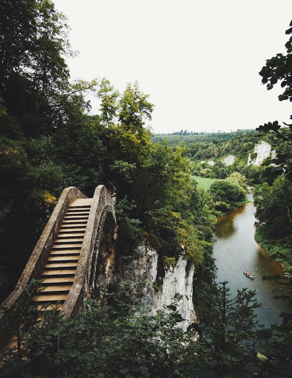 green trees beside body of water