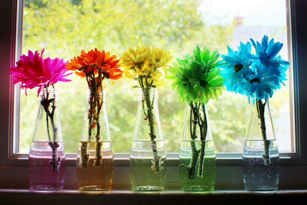 five assorted-color flowers
