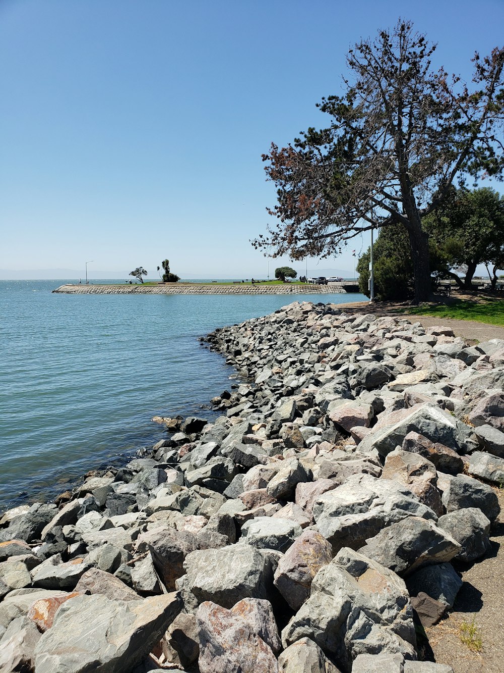 trees and rocks on island during day