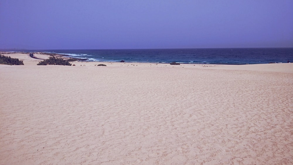 seashore and ocean under blue sky