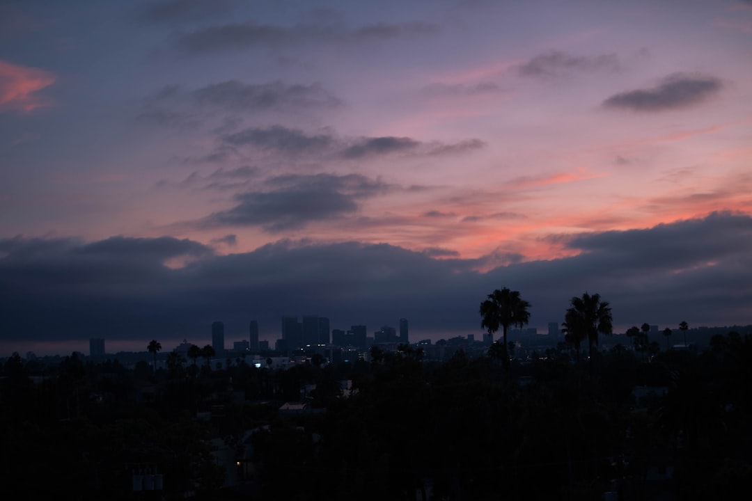 cityscape near trees