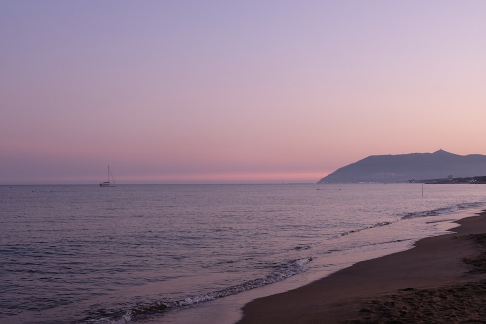 seashore during golden hour