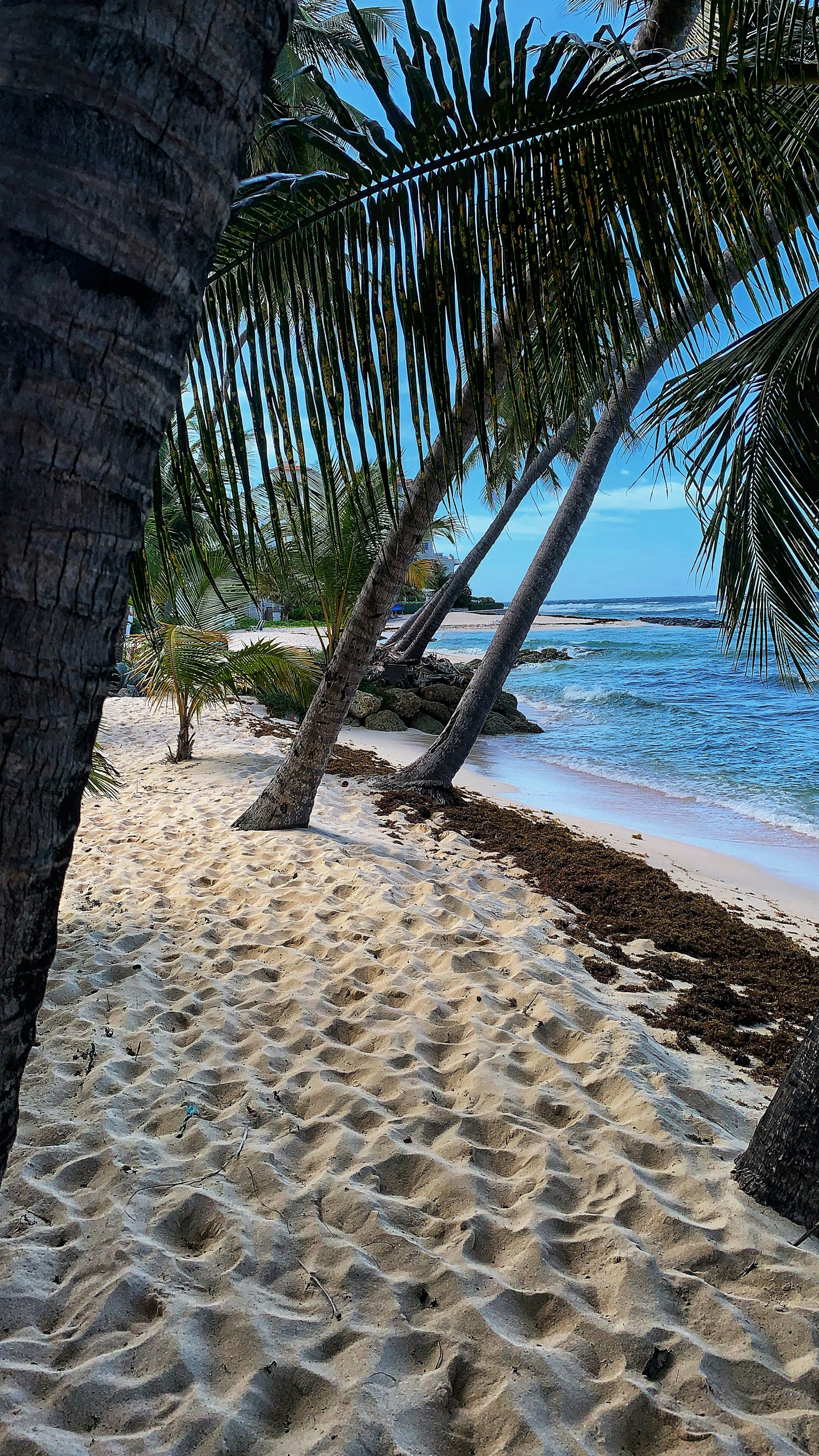 Exploring Barbados' Authentic Cuisine: Local Dishes, Restaurants & Traditional Recipes