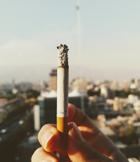 person holds cigarette stick