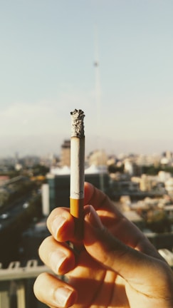 person holds cigarette stick