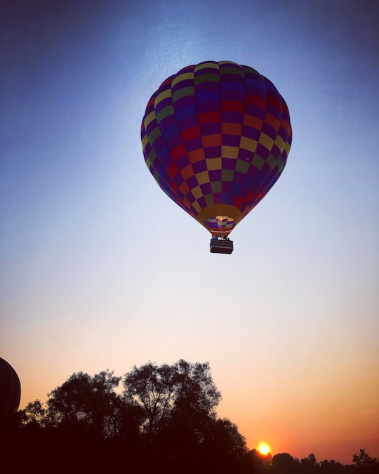 red and blue hot air balloon in 27 Albert St E Canada