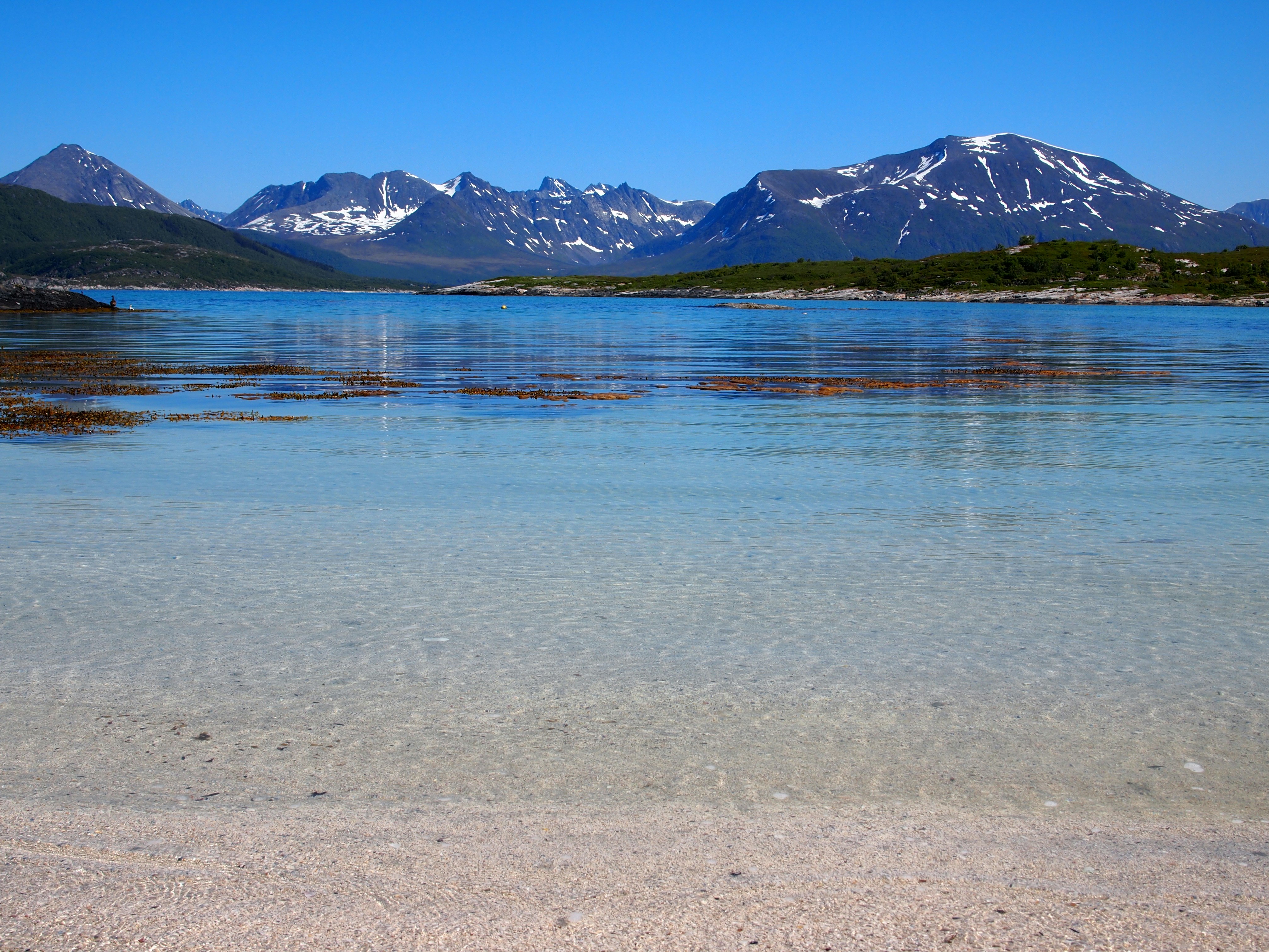 body of water during daytime