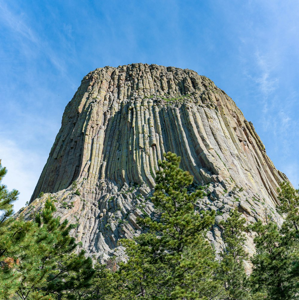 Devils Tower Wy >> Devils Tower National Monument Devils Tower Wyoming Usa Devils Tower Wy >> Devils Tower National Monument Devils Tower Wyoming Usa