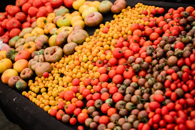 Agriculture & Food Supply Chain