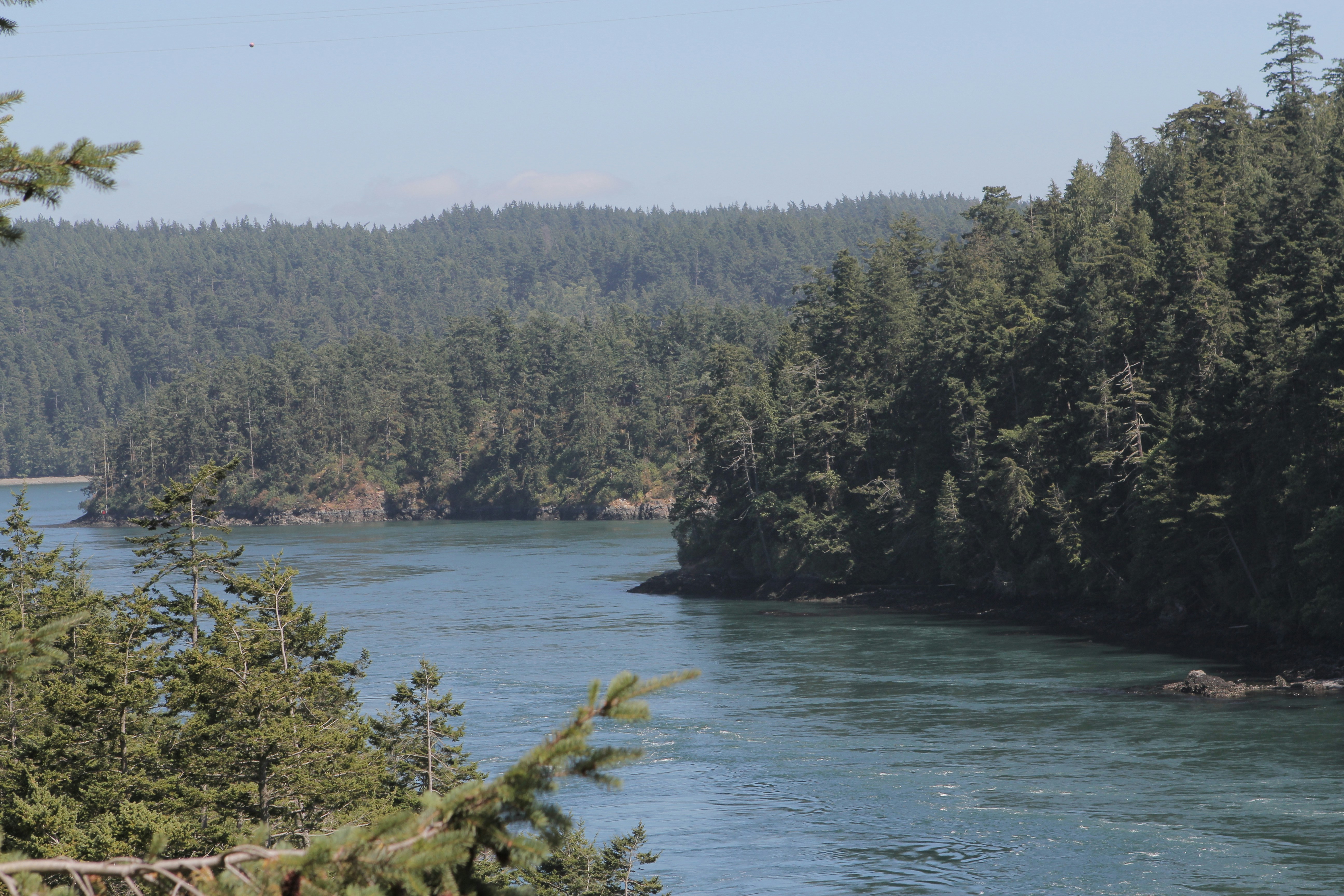 Photo by shazdirector