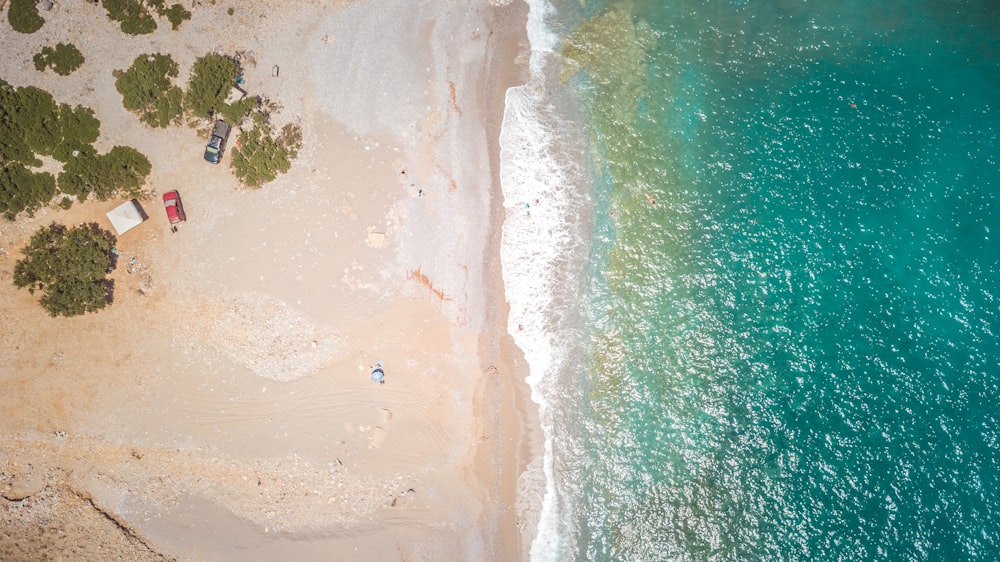 aerial photography of cars near shore