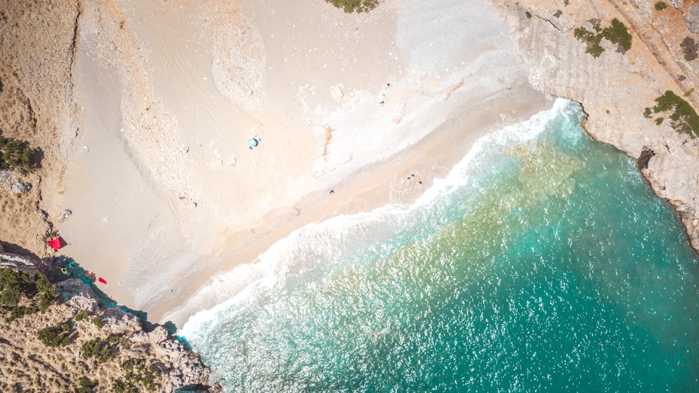 closeup photo of seashore