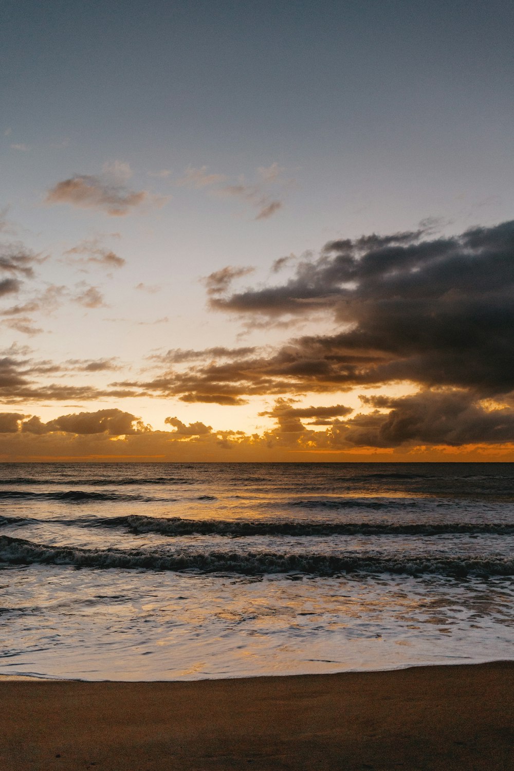 seashore during golden hour