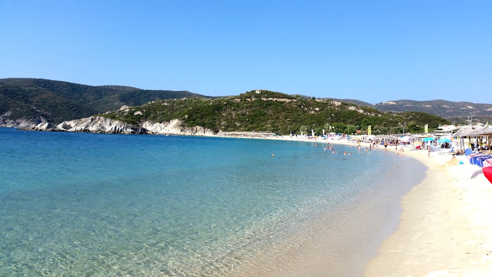 people at the beach during day