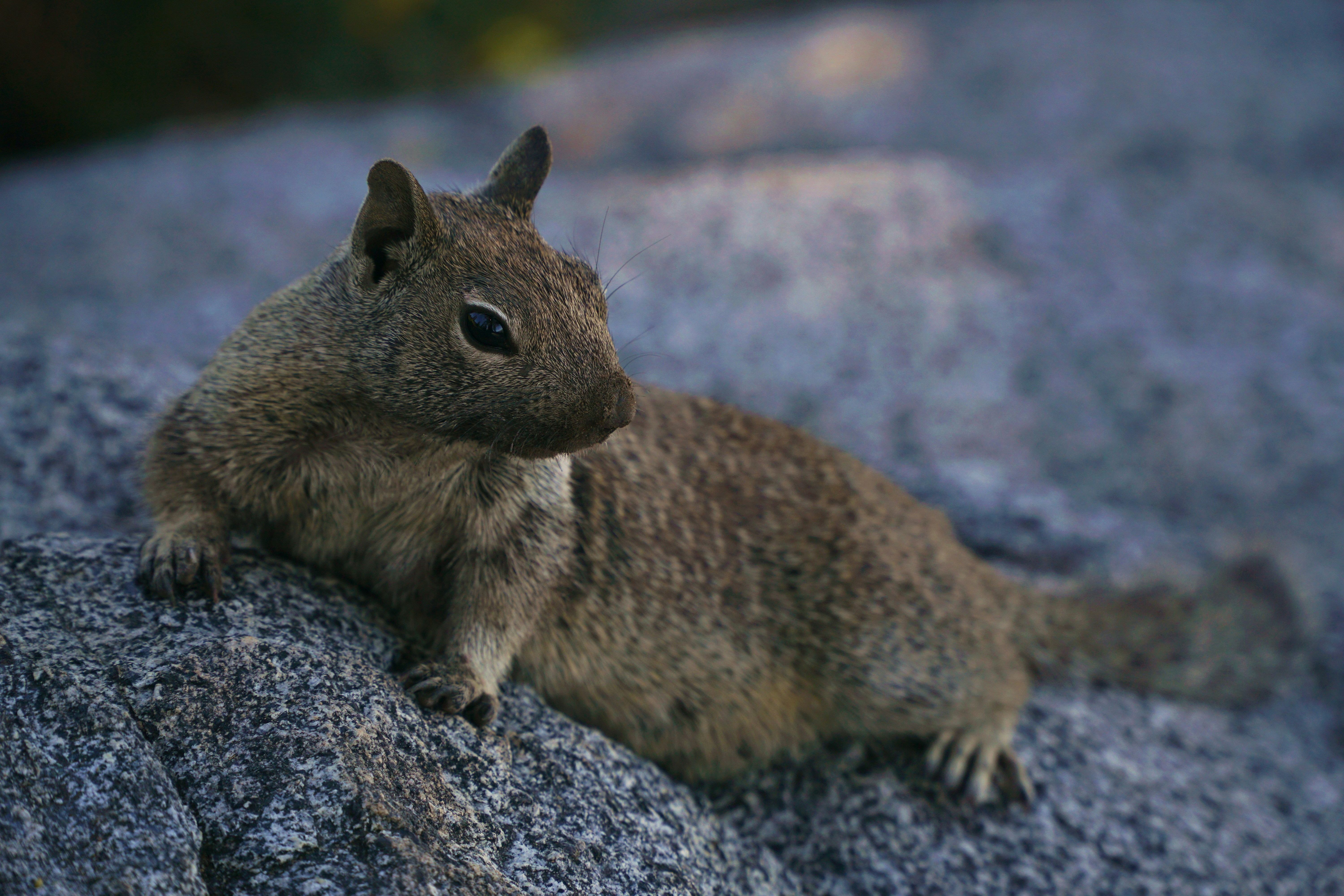 Photo by jamesrathmell