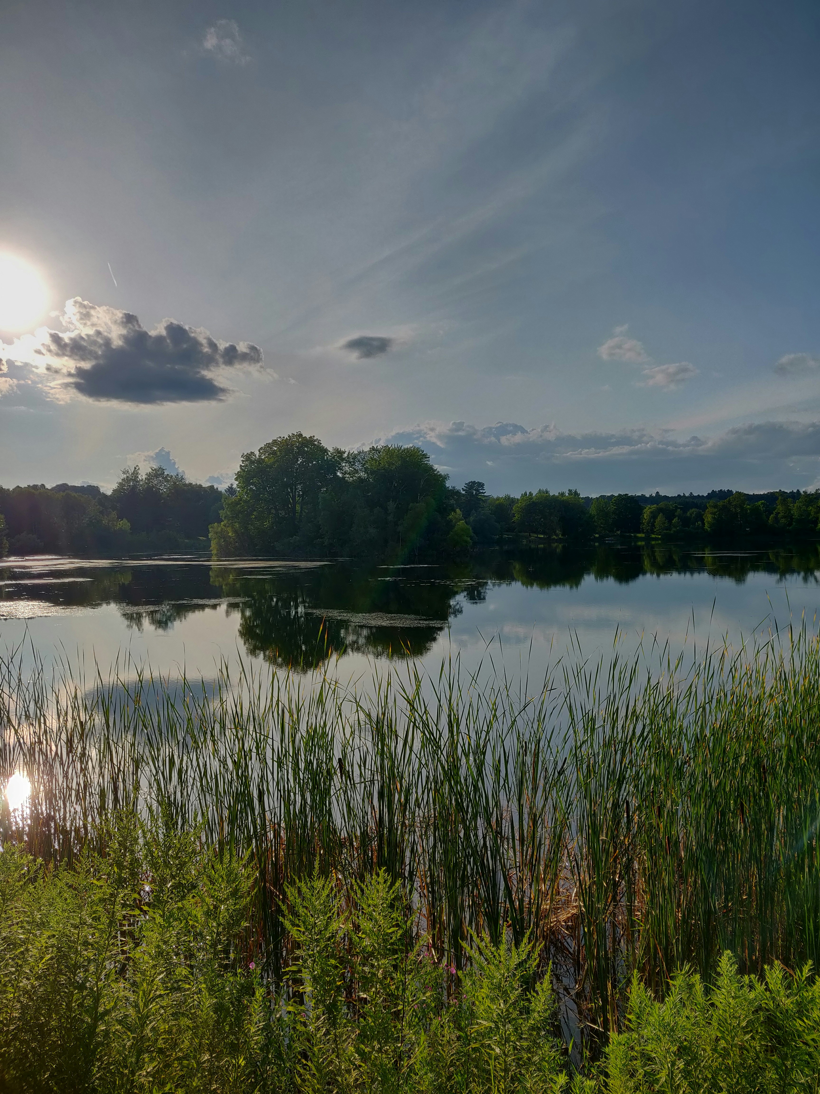 Photo by shubhamsharan