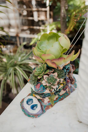 A vibrant succulent arrangement in rustic ceramic pots on a wooden shelf.