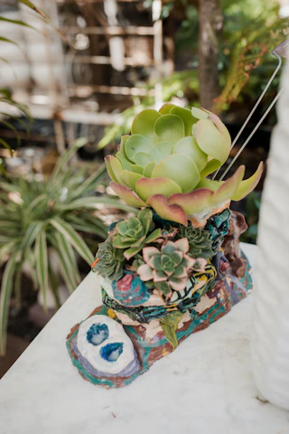 A charming arrangement of assorted succulents in handmade ceramic pots on a rustic wooden shelf.