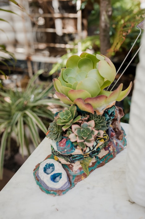 Close-up of vibrant succulents in colorful ceramic pots arranged on a rustic table.