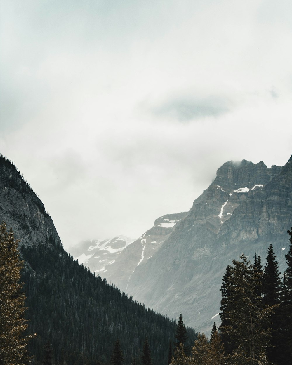 aerial photography of mountain