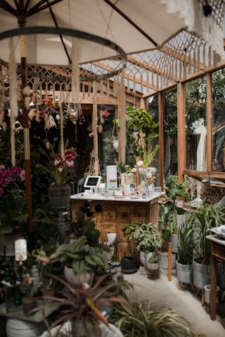 A cozy indoor garden or greenhouse setting with a variety of lush green plants and colorful flowers. Wooden structures and shelves filled with potted plants create a natural and earthy atmosphere. A central wooden counter displays items, possibly for sale, and is surrounded by hanging and standing plants. Soft light filters through a large umbrella and the glass structures, giving an inviting feel.