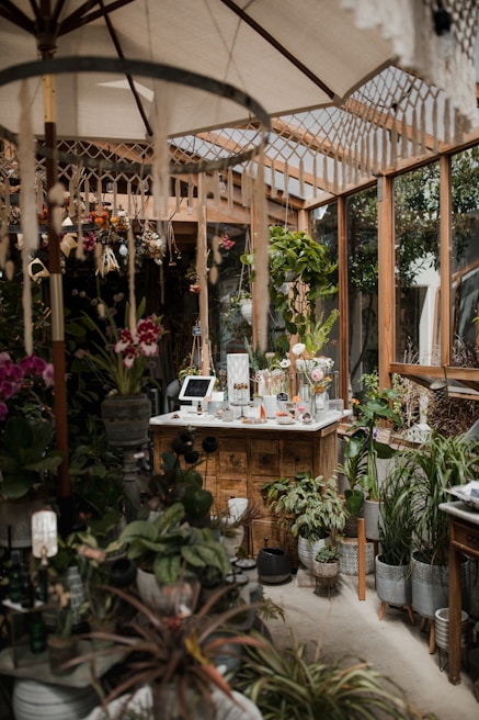 A cozy indoor garden or greenhouse setting with a variety of lush green plants and colorful flowers. Wooden structures and shelves filled with potted plants create a natural and earthy atmosphere. A central wooden counter displays items, possibly for sale, and is surrounded by hanging and standing plants. Soft light filters through a large umbrella and the glass structures, giving an inviting feel.