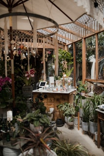 A cozy indoor garden or greenhouse setting with a variety of lush green plants and colorful flowers. Wooden structures and shelves filled with potted plants create a natural and earthy atmosphere. A central wooden counter displays items, possibly for sale, and is surrounded by hanging and standing plants. Soft light filters through a large umbrella and the glass structures, giving an inviting feel.