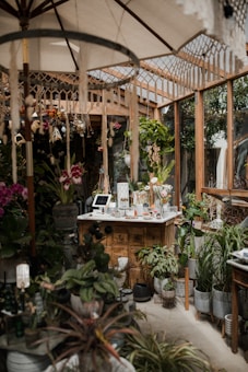 A cozy indoor garden or greenhouse setting with a variety of lush green plants and colorful flowers. Wooden structures and shelves filled with potted plants create a natural and earthy atmosphere. A central wooden counter displays items, possibly for sale, and is surrounded by hanging and standing plants. Soft light filters through a large umbrella and the glass structures, giving an inviting feel.