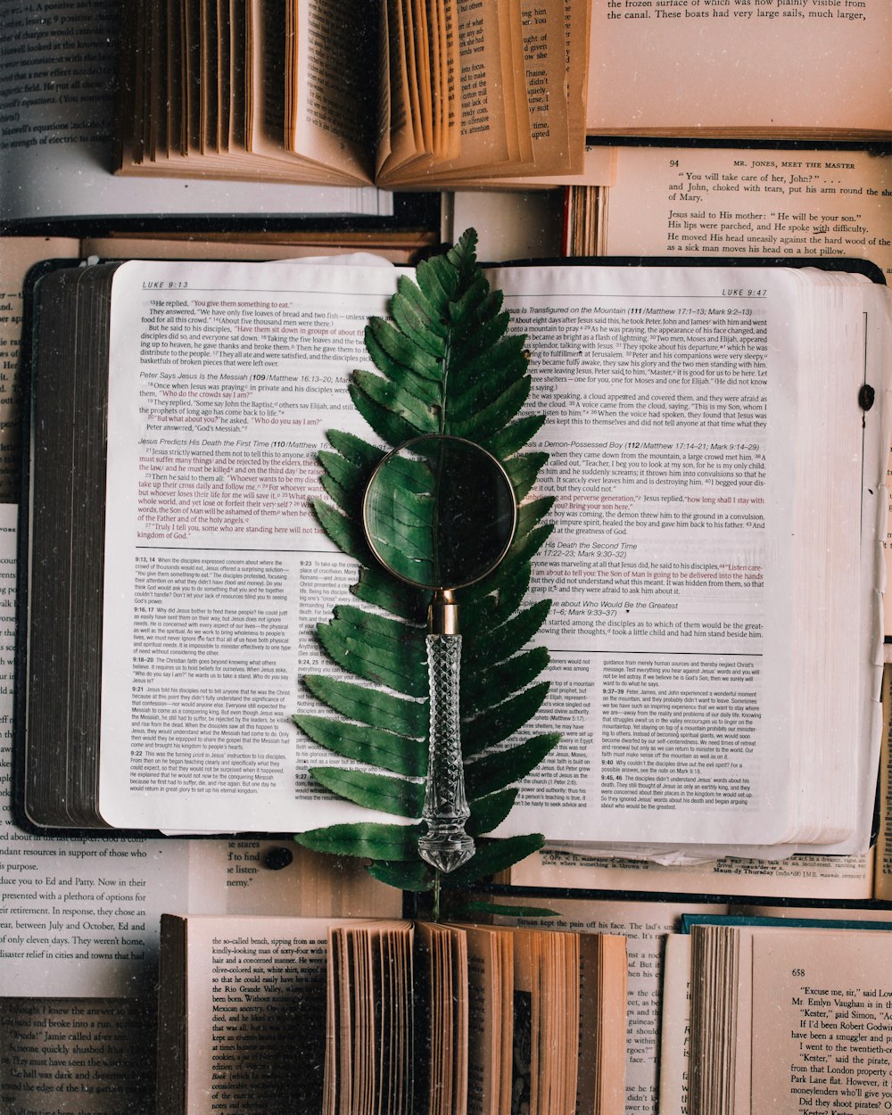 magnifying glass on book