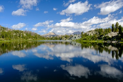 body of water near trees wyoming teams background