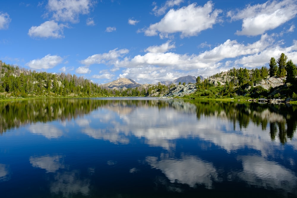 body of water near trees