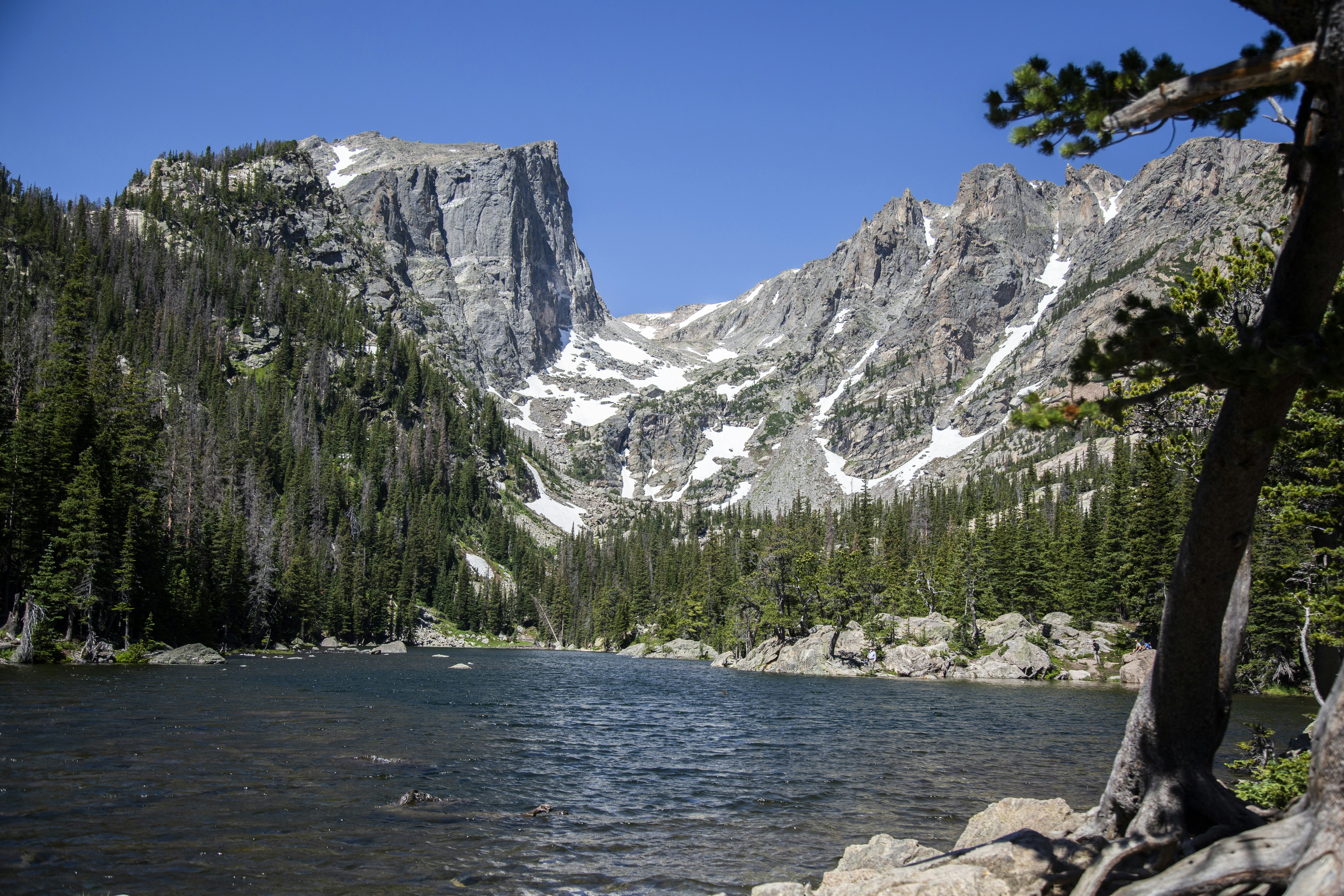 Photo by midwestiscool