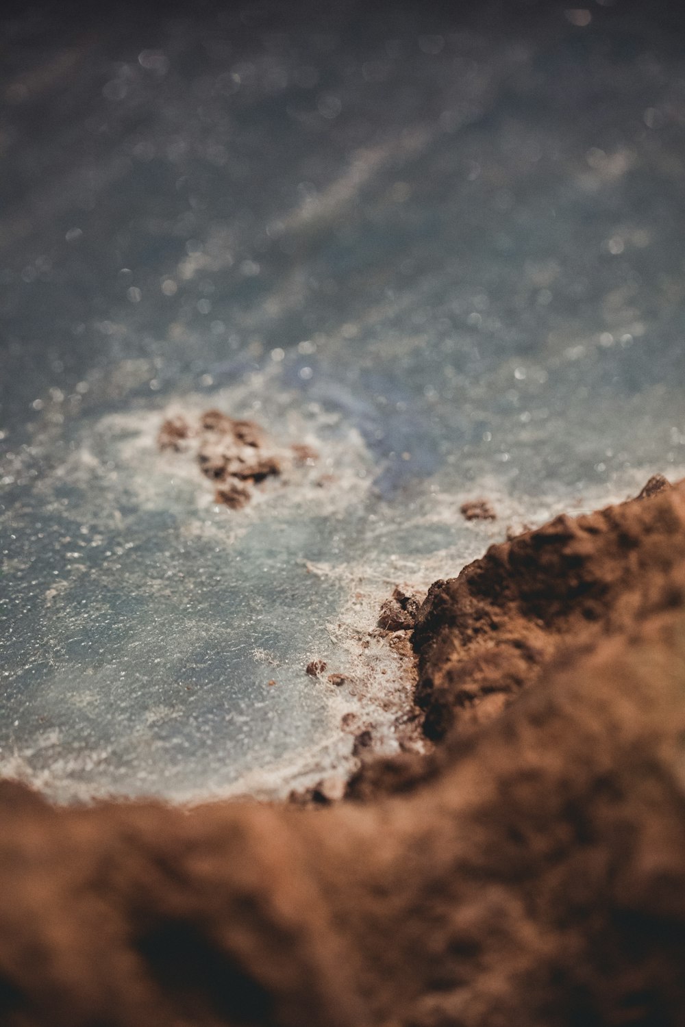 a bird standing on top of a sandy beach