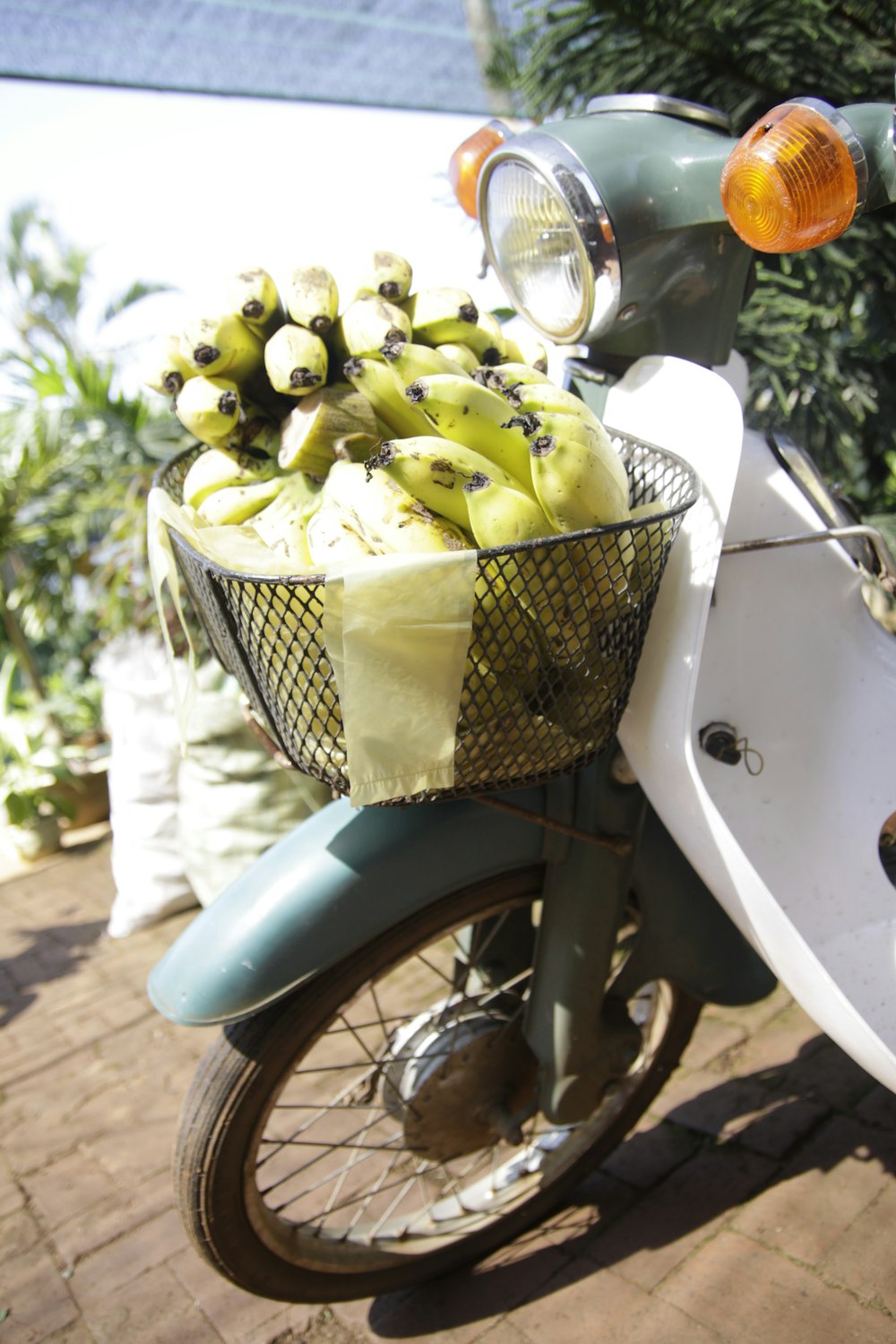 green bananas in basket