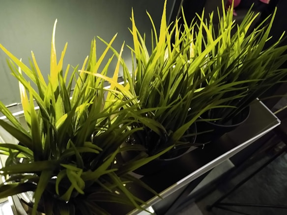 Several small pots filled with vibrant, green artificial grass are placed closely together on a reflective surface. The lighting casts distinct shadows, enhancing the texture and color of the grass blades.