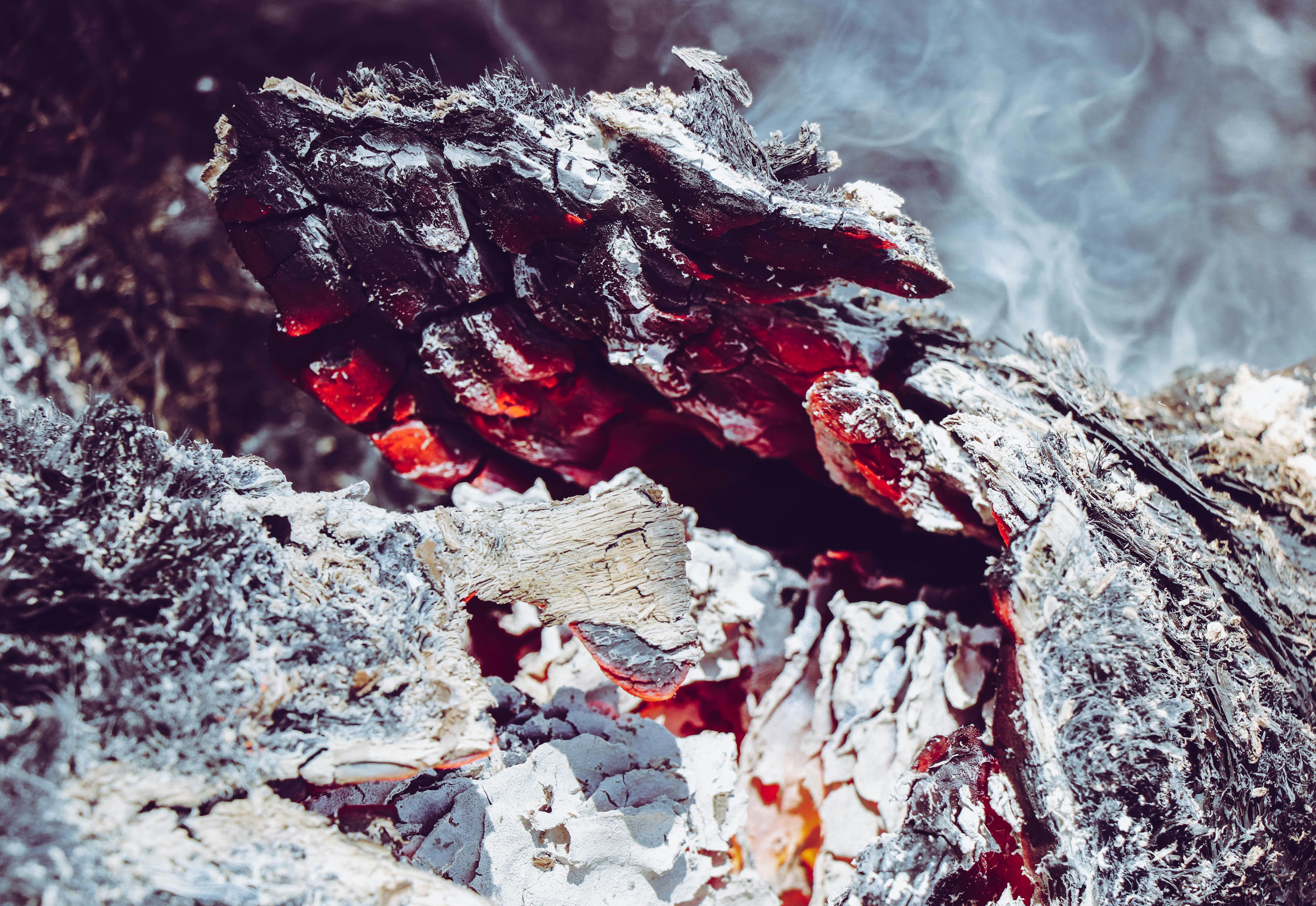 a close up of a piece of food on a grill