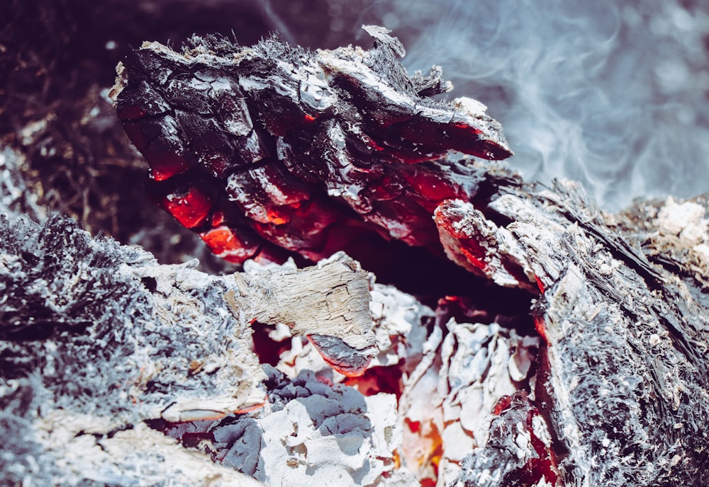 a close up of a piece of food on a grill