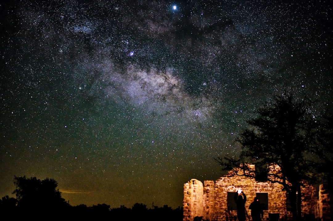 brown and black milky way