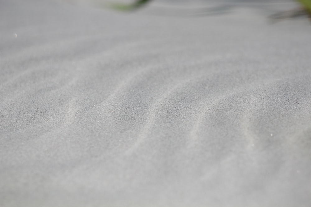 Eine Nahaufnahme einer Sandfläche mit einer Pflanze im Hintergrund