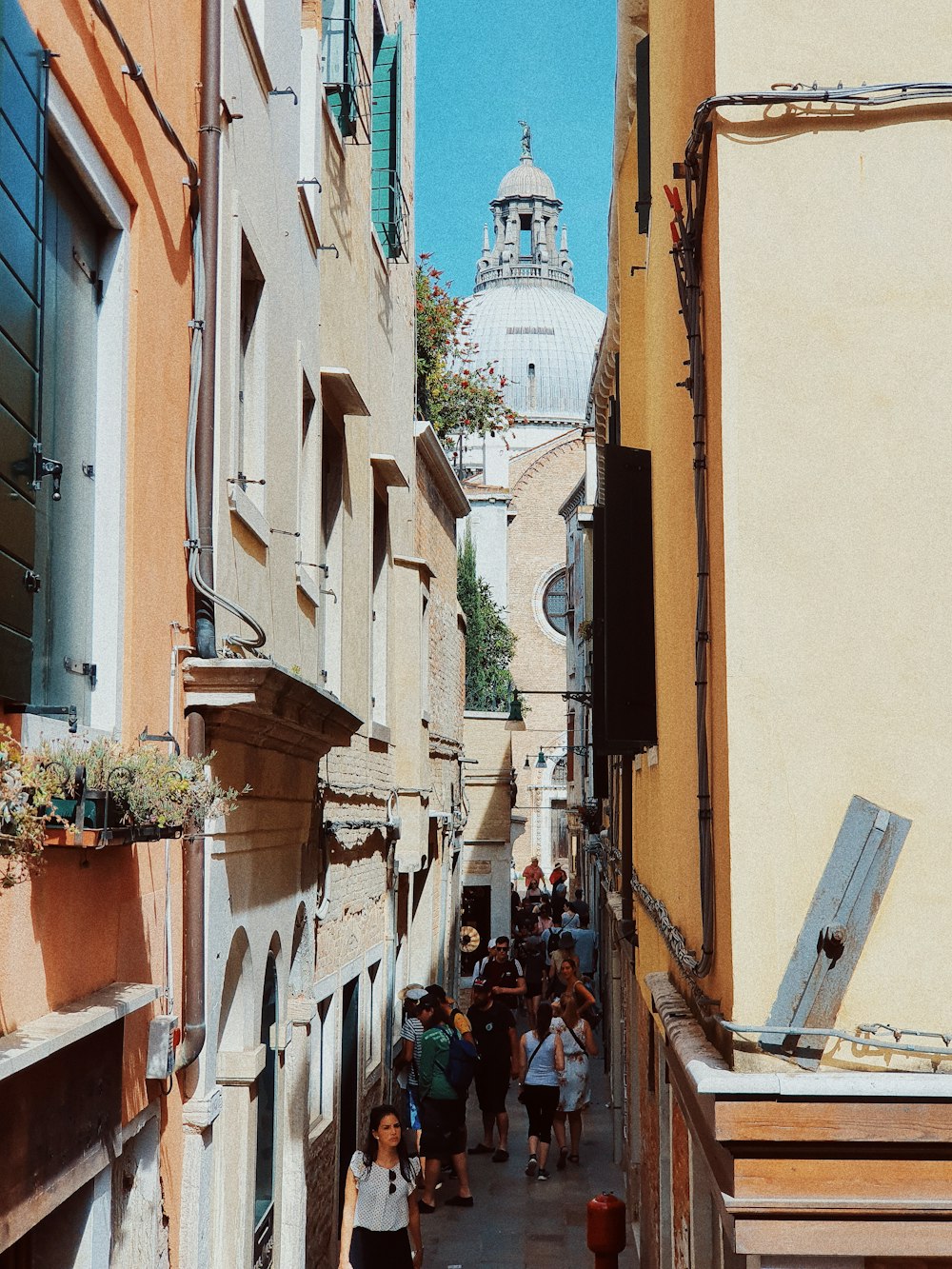 people walking on alley