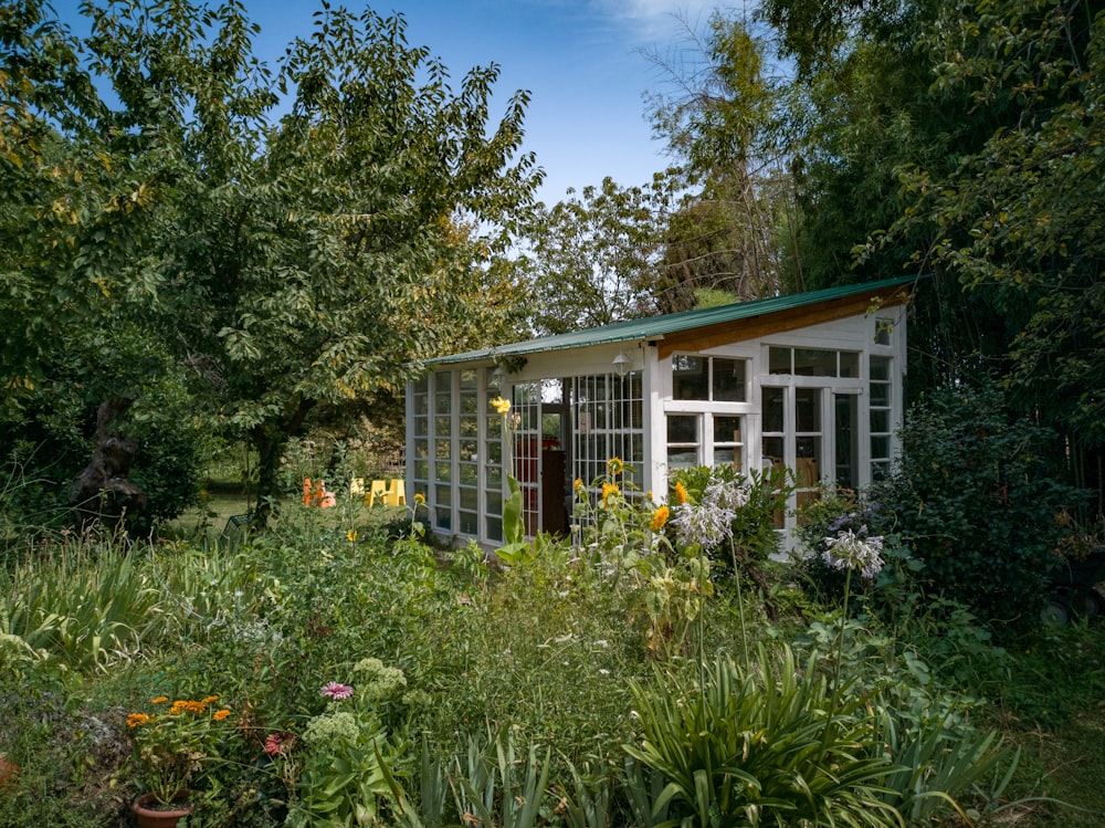 white and green house