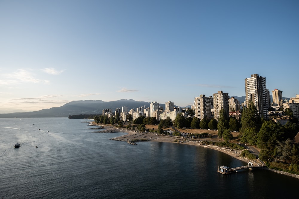 aerial photography city buildings near body of water