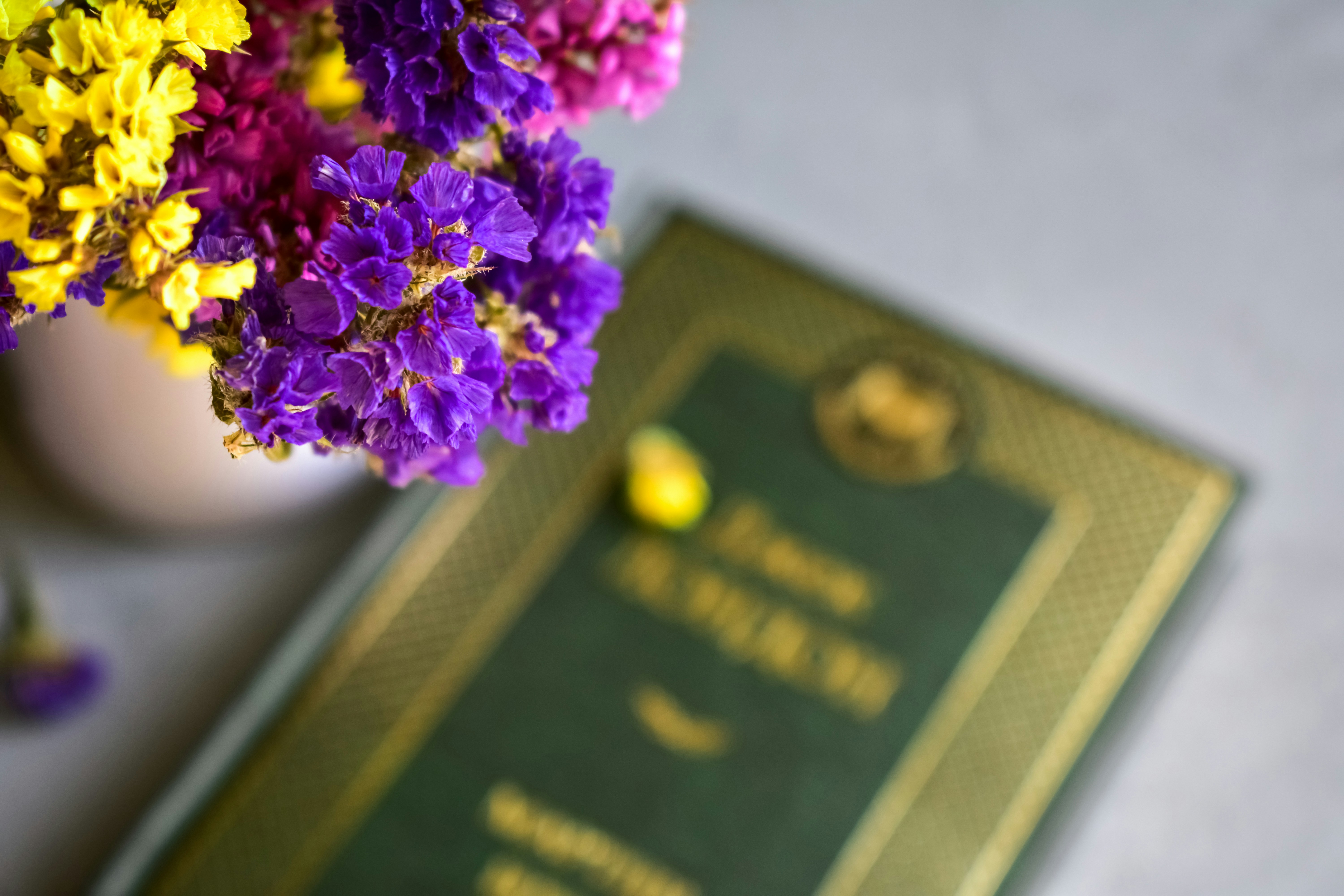 Purple and yellow flowers