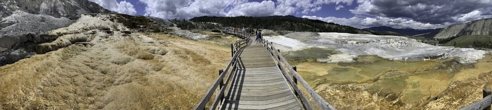 brown wooden dock