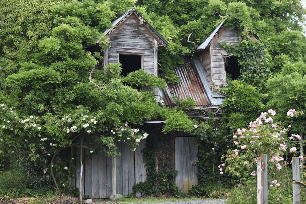 photo of brown and gray wooden house and trees