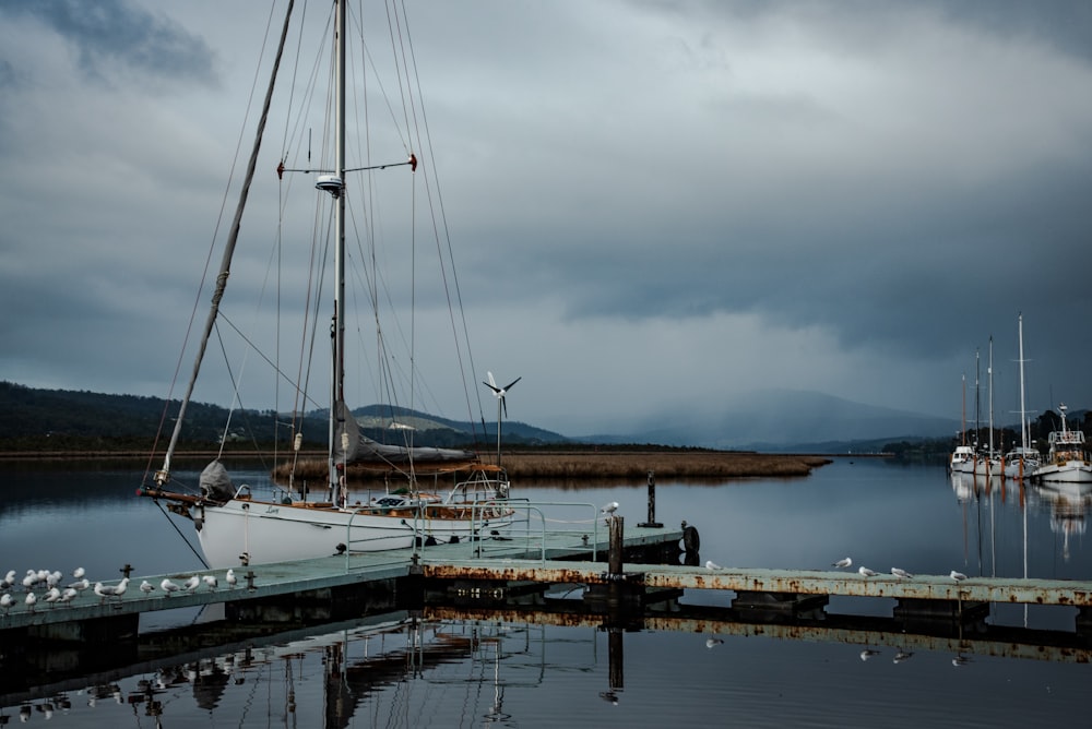 white boat on body of water